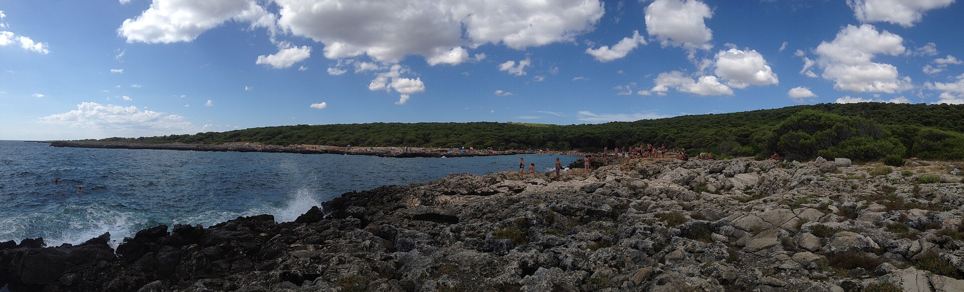 La baia rocciosa di Porto Selvaggio con la pineta sullo sfondo