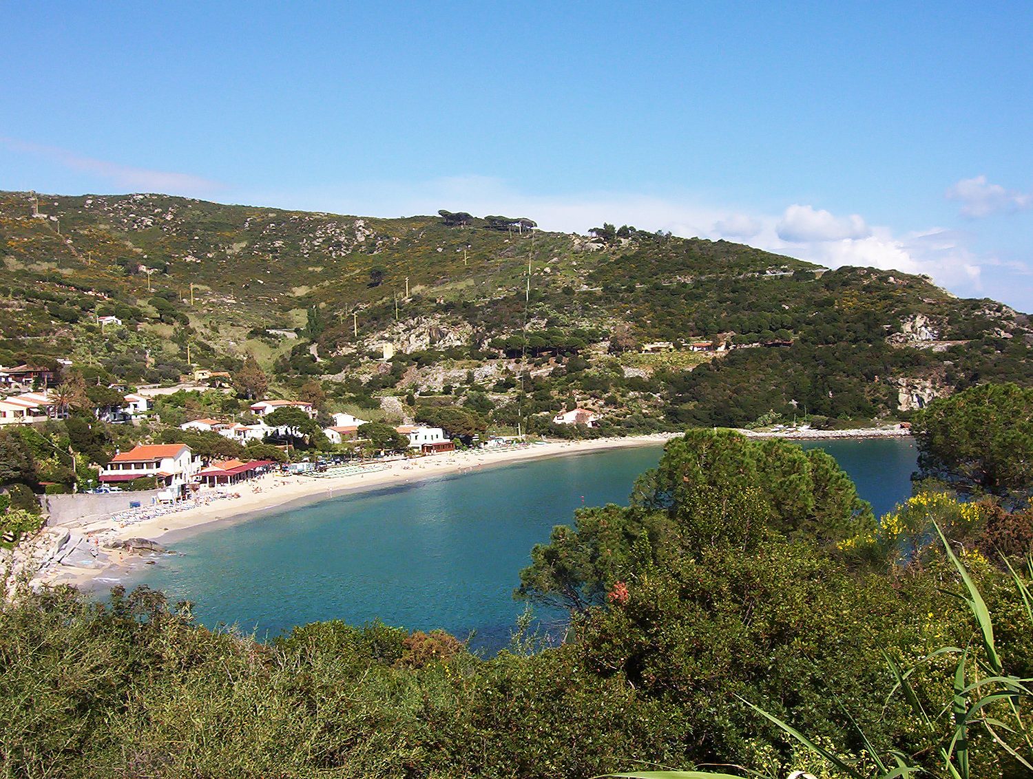 La spiaggia di Fetovaia all'Isola d'Elba, sabbia dorata chiusa dal promontorio e acqua turchese